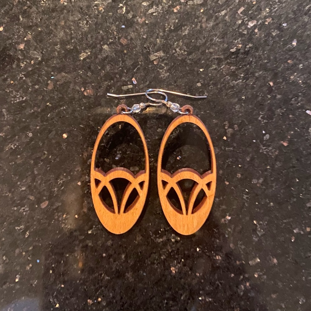 Wooden Oval Earrings